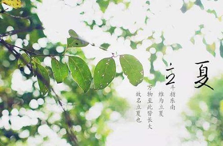 1248a0228aa844f392472cad856d45fe.jpg